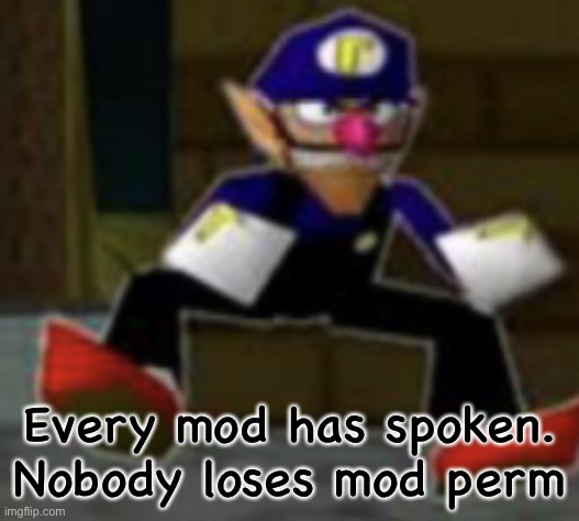 wah male | Every mod has spoken. Nobody loses mod perm | image tagged in wah male | made w/ Imgflip meme maker