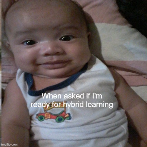 Hybrid Learning | When asked if I'm ready for hybrid learning | image tagged in lol so funny | made w/ Imgflip meme maker