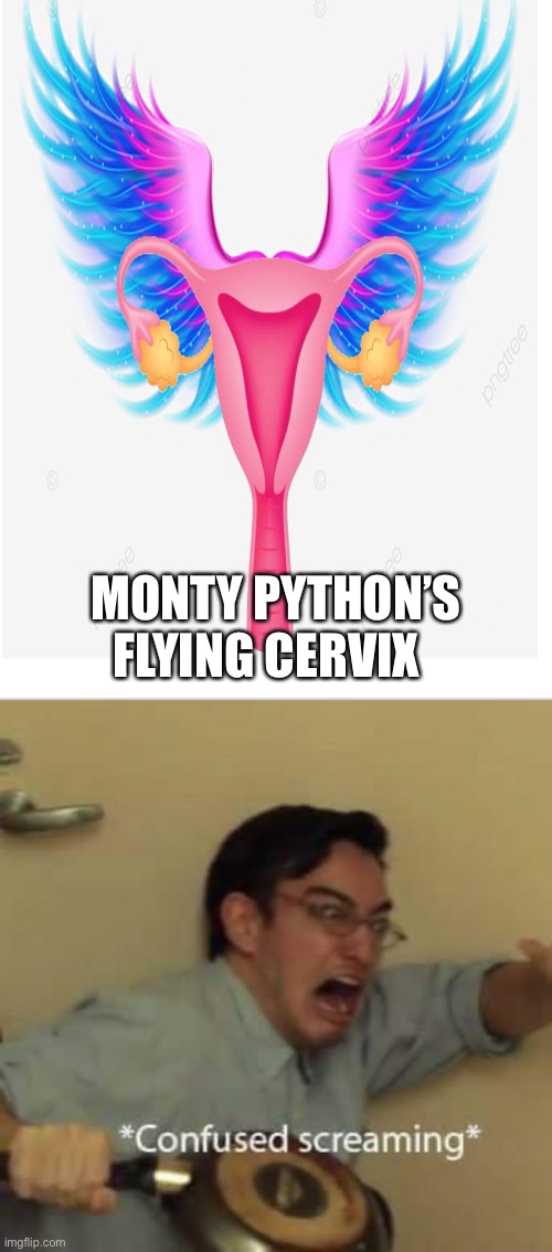 No One Expects The Flying Cervix! |  MONTY PYTHON’S FLYING CERVIX | image tagged in blank white template,filthy frank confused scream,monty python | made w/ Imgflip meme maker