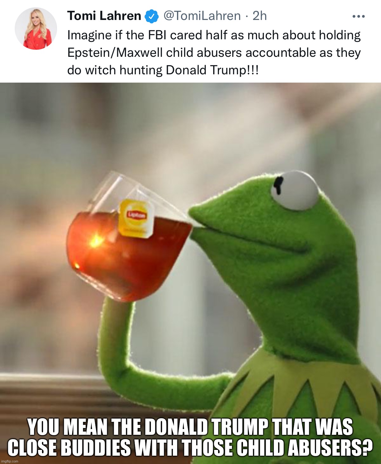 YOU MEAN THE DONALD TRUMP THAT WAS CLOSE BUDDIES WITH THOSE CHILD ABUSERS? | image tagged in memes,but that's none of my business | made w/ Imgflip meme maker
