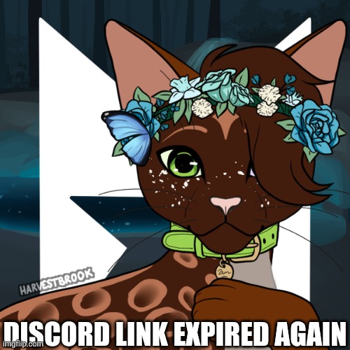 Dawnstar | DISCORD LINK EXPIRED AGAIN | image tagged in dawnstar | made w/ Imgflip meme maker