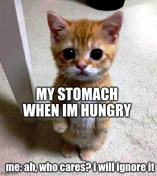 cute standing kitty | MY STOMACH WHEN IM HUNGRY; me: ah, who cares? i will ignore it | image tagged in cute standing kitty | made w/ Imgflip meme maker
