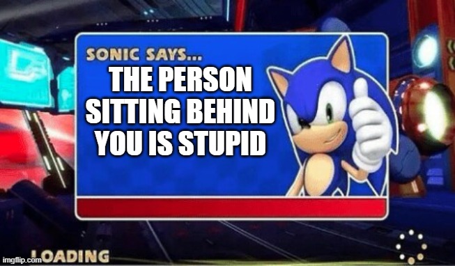 Sonic Says | THE PERSON SITTING BEHIND YOU IS STUPID | image tagged in sonic says | made w/ Imgflip meme maker