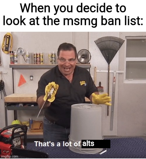 thats a lot of damage | When you decide to look at the msmg ban list:; alts | image tagged in thats a lot of damage | made w/ Imgflip meme maker