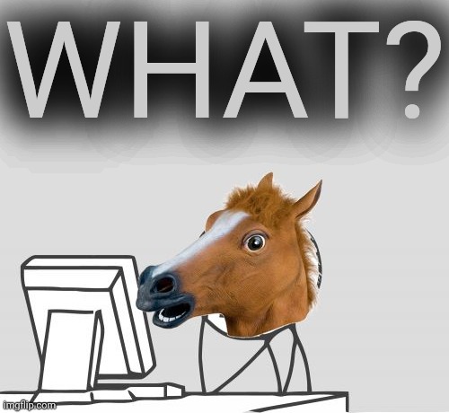 Computer Horse Meme | WHAT? | image tagged in memes,computer horse | made w/ Imgflip meme maker