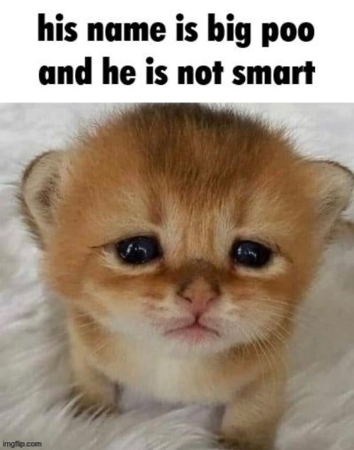 he is just like me, but i'm not cute | made w/ Imgflip meme maker