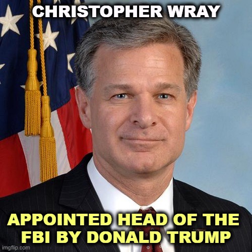 Christopher Wray, appointed head of the FBI by Donald Trump | CHRISTOPHER WRAY; APPOINTED HEAD OF THE 
FBI BY DONALD TRUMP | image tagged in christopher wray appointed head of the fbi by donald trump,fbi,head,trump | made w/ Imgflip meme maker