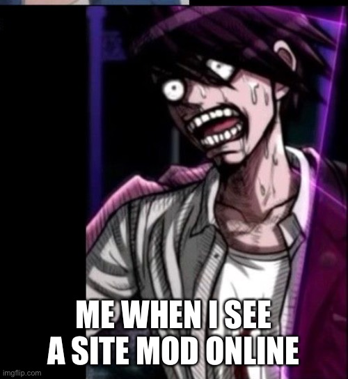 ME WHEN I SEE A SITE MOD ONLINE | made w/ Imgflip meme maker