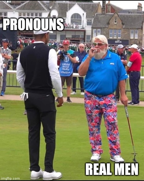 PRONOUNS | PRONOUNS; REAL MEN | image tagged in john daly and tiger woods | made w/ Imgflip meme maker