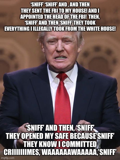 Donald Trump | ‘SNIFF’ ‘SNIFF’ AND , AND THEN THEY SENT THE FBI TO MY HOUSE! AND I APPOINTED THE HEAD OF THE FBI!  THEN, ‘SNIFF’ AND THEN ‘SNIFF’ THEY TOOK EVERYTHING I ILLEGALLY TOOK FROM THE WHITE HOUSE! ‘SNIFF’ AND THEN, ‘SNIFF’ THEY OPENED MY SAFE BECAUSE’SNIFF’ THEY KNOW I COMMITTED CRIIIIIIIMES, WAAAAAAWAAAAA,’SNIFF’ | image tagged in donald trump | made w/ Imgflip meme maker