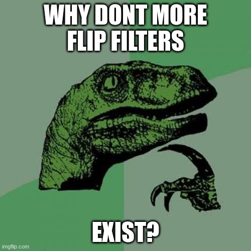 flip through a stream or a time or a tag! | WHY DONT MORE FLIP FILTERS; EXIST? | image tagged in memes,philosoraptor | made w/ Imgflip meme maker