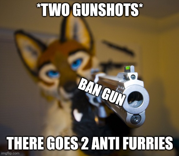 Furry with gun | *TWO GUNSHOTS*; BAN GUN; THERE GOES 2 ANTI FURRIES | image tagged in furry with gun | made w/ Imgflip meme maker