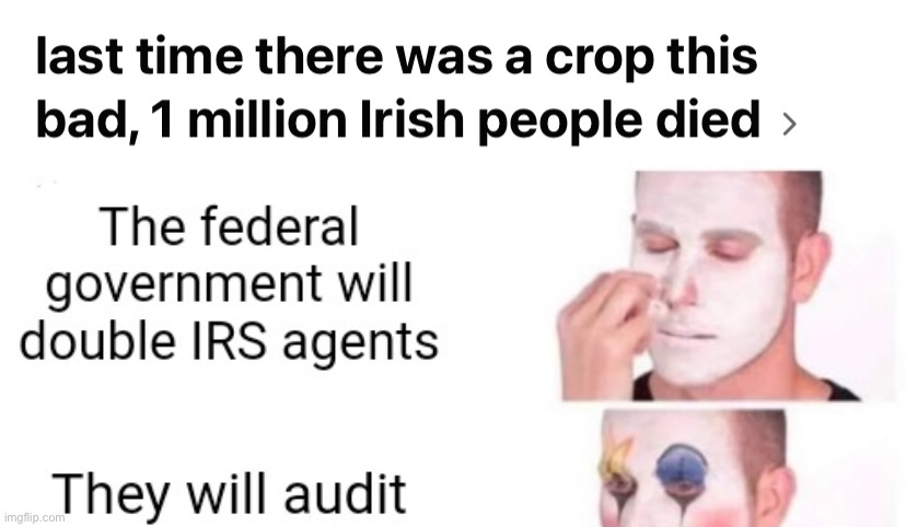 Yes! That is what auditors do! Based | image tagged in last time there was a crop this bad 1 million irish people died,irs,auditors,audit,taxes,based | made w/ Imgflip meme maker