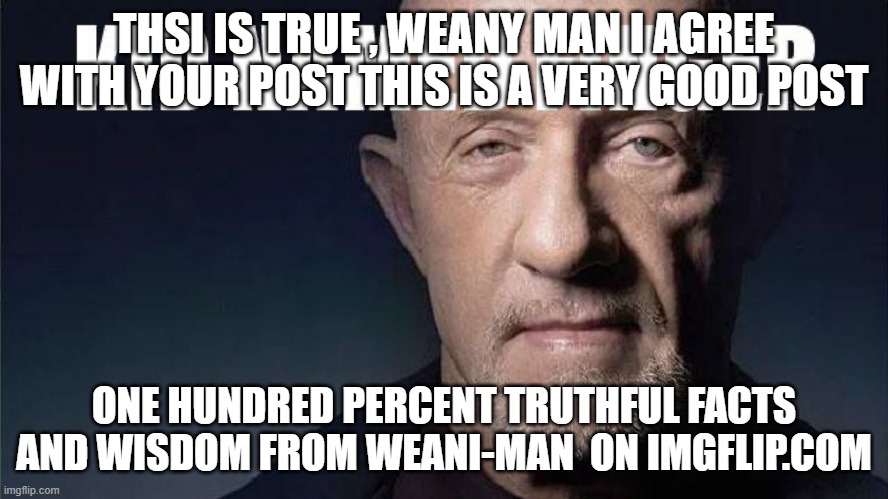 THSI IS TRUE , WEANY MAN I AGREE WITH YOUR POST THIS IS A VERY GOOD POST ONE HUNDRED PERCENT TRUTHFUL FACTS AND WISDOM FROM WEANI-MAN  ON IM | made w/ Imgflip meme maker