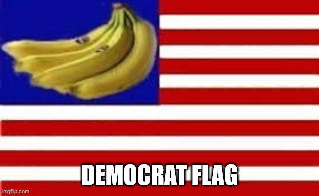 DEMOCRAT FLAG | made w/ Imgflip meme maker