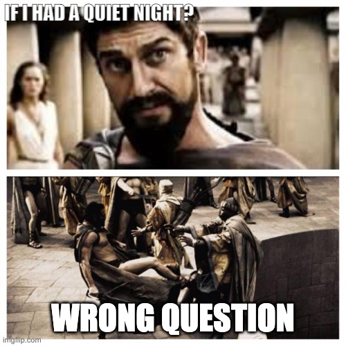 If I had a quiet night? | IF I HAD A QUIET NIGHT? WRONG QUESTION | image tagged in 300,this is sparta,sleep | made w/ Imgflip meme maker