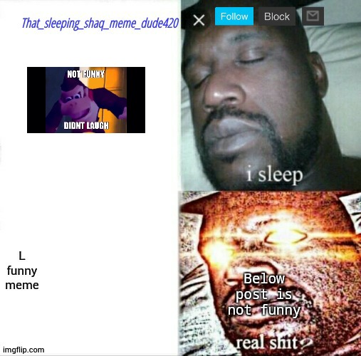 that_sleeping_shaq_meme_dude420 annoucement | Below post is not funny | image tagged in that_sleeping_shaq_meme_dude420 annoucement | made w/ Imgflip meme maker