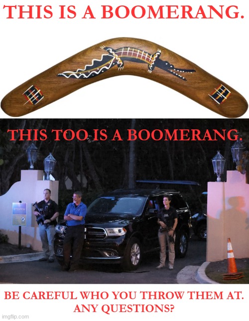 If leftists and Rinos think they "got" Trump, they best think again. Those who laugh last, laugh the loudest! Booyaa, bitches!! | THIS IS A BOOMERANG. THIS TOO IS A BOOMERANG. BE CAREFUL WHO YOU THROW THEM AT.
ANY QUESTIONS? | image tagged in donald trump,boomerang,liberal logic,stupid liberals,rino | made w/ Imgflip meme maker