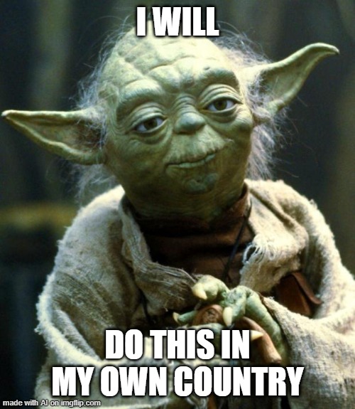 Star Wars Yoda Meme | I WILL; DO THIS IN MY OWN COUNTRY | image tagged in memes,star wars yoda | made w/ Imgflip meme maker