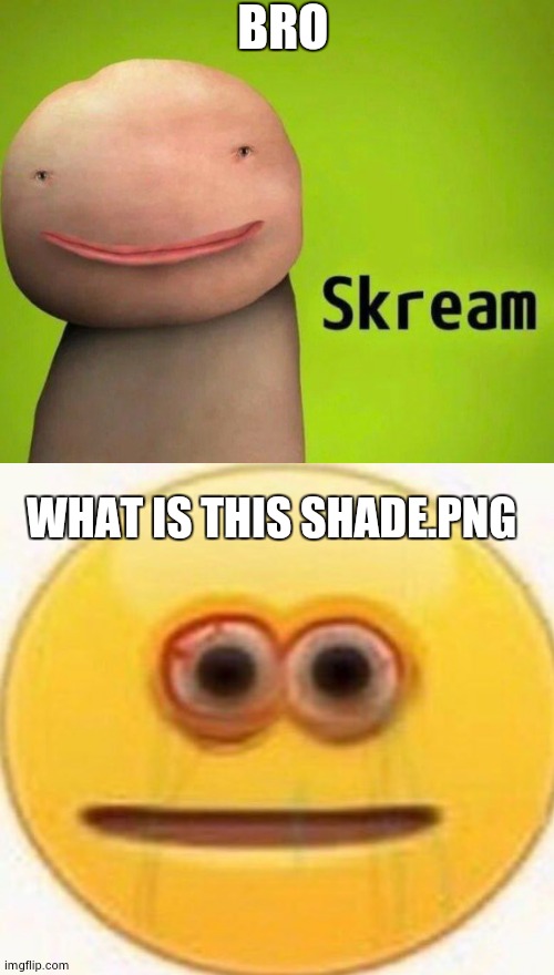 BRO; WHAT IS THIS SHADE.PNG | image tagged in skream | made w/ Imgflip meme maker