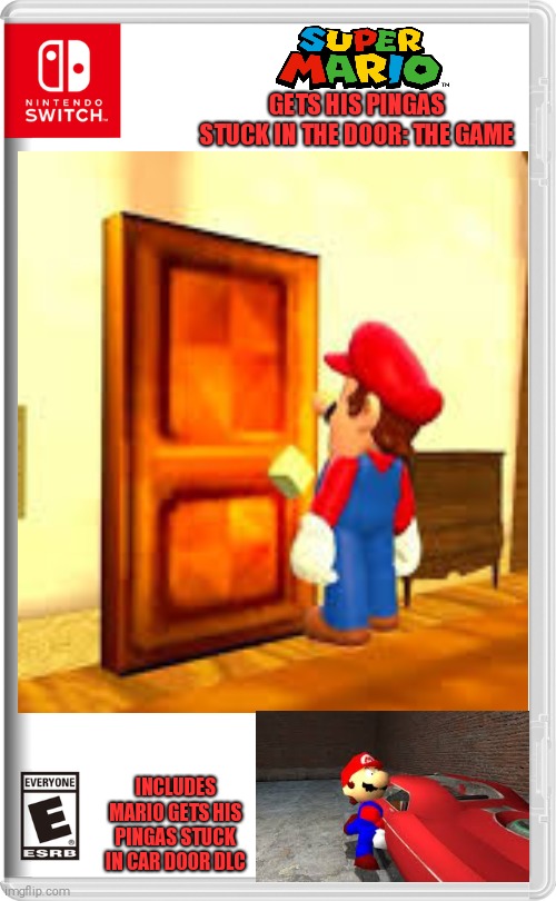 You've seen the video. Now get this ultimate game. | GETS HIS PINGAS STUCK IN THE DOOR: THE GAME; INCLUDES MARIO GETS HIS PINGAS STUCK IN CAR DOOR DLC | image tagged in nintendo switch cartridge case,mario,pingas,super mario | made w/ Imgflip meme maker