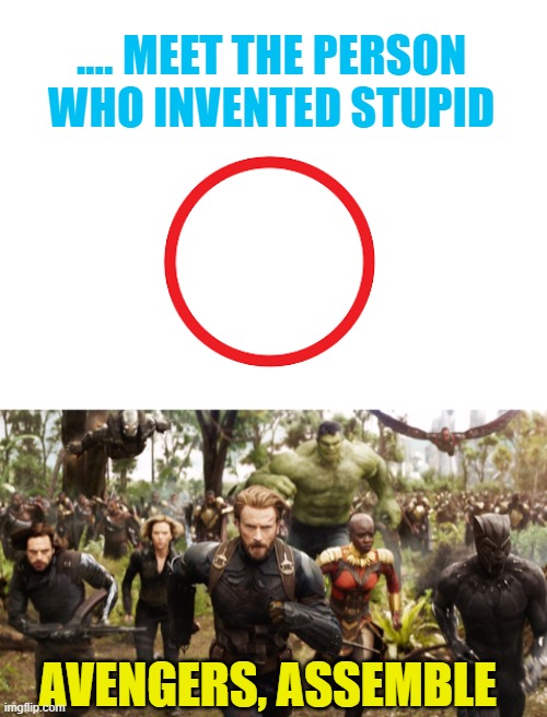 .... MEET THE PERSON WHO INVENTED STUPID AVENGERS, ASSEMBLE | image tagged in blank white template,avengers infinity war running | made w/ Imgflip meme maker