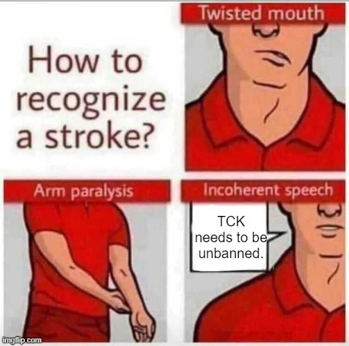 void's shitpost status 1 | TCK needs to be unbanned. | image tagged in how to recognize a stroke | made w/ Imgflip meme maker
