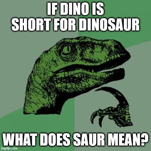 Dinosaurs | IF DINO IS SHORT FOR DINOSAUR; WHAT DOES SAUR MEAN? | image tagged in memes,philosoraptor,dinosaurs | made w/ Imgflip meme maker