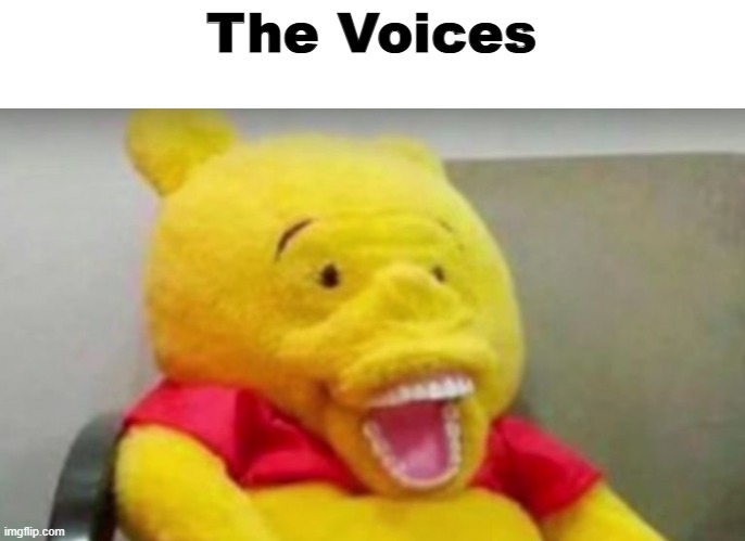 Winnie The Pooh Whaaat | The Voices | image tagged in winnie the pooh whaaat | made w/ Imgflip meme maker