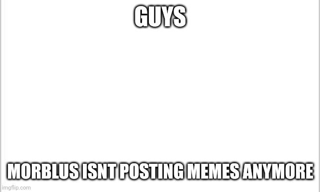 white background | GUYS; MORBLUS ISNT POSTING MEMES ANYMORE | image tagged in white background | made w/ Imgflip meme maker