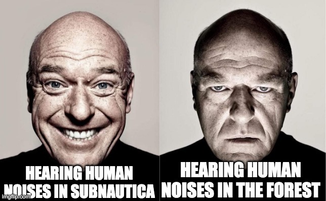 You shouldn't always go running towards those humanoid forms | HEARING HUMAN NOISES IN SUBNAUTICA; HEARING HUMAN NOISES IN THE FOREST | image tagged in hank | made w/ Imgflip meme maker