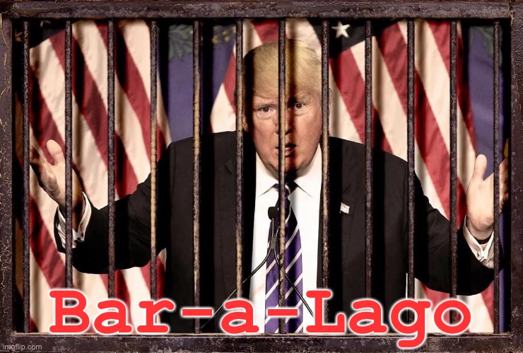 Trump behind bars | Bar-a-Lago | image tagged in bar-a-lago | made w/ Imgflip meme maker