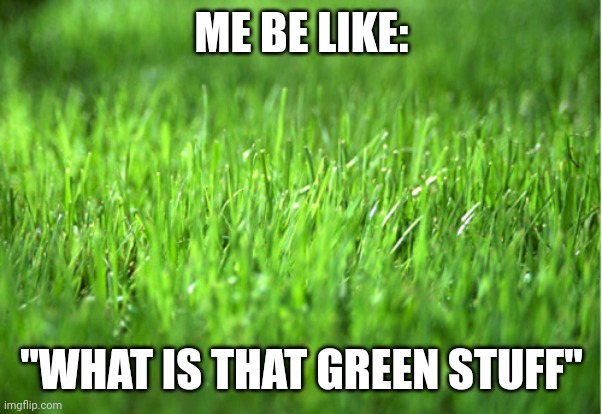 grass is greener | ME BE LIKE:; "WHAT IS THAT GREEN STUFF" | image tagged in grass is greener | made w/ Imgflip meme maker