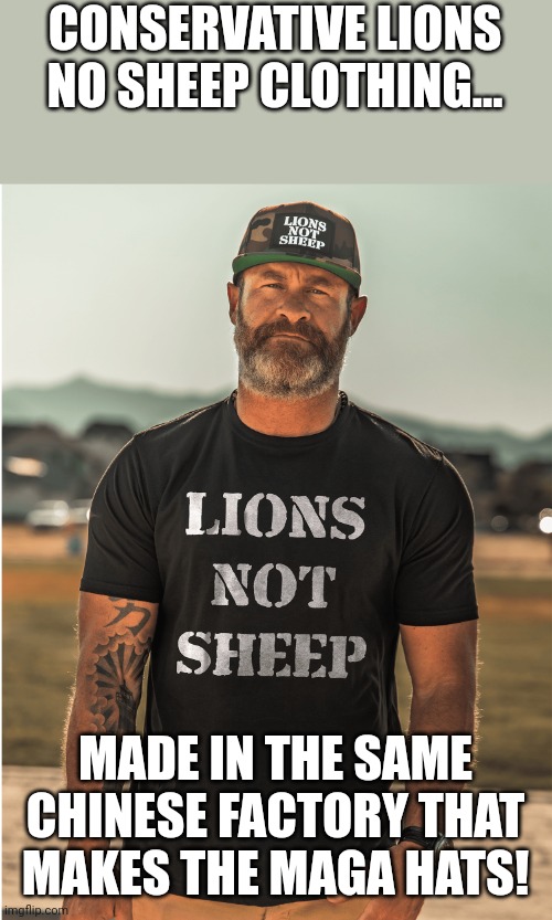 Lions in Chinese | CONSERVATIVE LIONS NO SHEEP CLOTHING... MADE IN THE SAME CHINESE FACTORY THAT MAKES THE MAGA HATS! | image tagged in conservative,republican,maga,trump supporter,democrat,trump | made w/ Imgflip meme maker