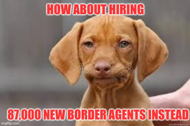 Government Hiring 87,000 New IRS Agents |  HOW ABOUT HIRING; 87,000 NEW BORDER AGENTS INSTEAD | image tagged in secure the border,irs,spending,democrats | made w/ Imgflip meme maker