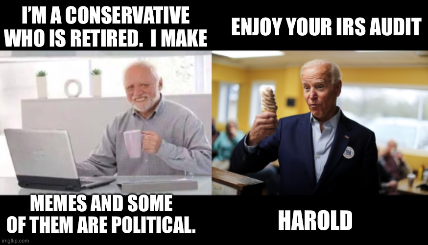 IRS |  ENJOY YOUR IRS AUDIT; I’M A CONSERVATIVE WHO IS RETIRED.  I MAKE; MEMES AND SOME OF THEM ARE POLITICAL. HAROLD | image tagged in harold,joe biden | made w/ Imgflip meme maker