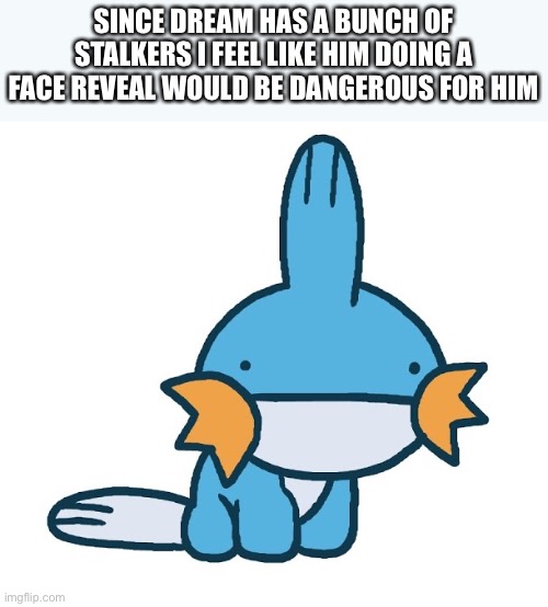 SINCE DREAM HAS A BUNCH OF STALKERS I FEEL LIKE HIM DOING A FACE REVEAL WOULD BE DANGEROUS FOR HIM | made w/ Imgflip meme maker