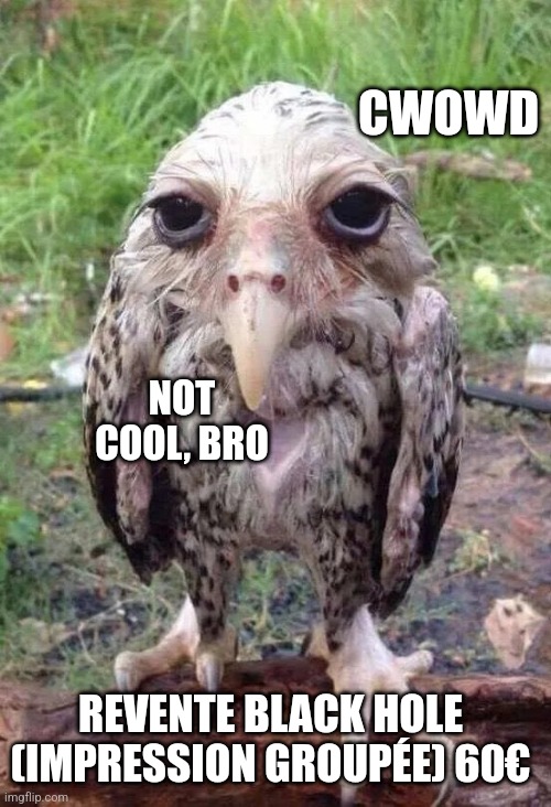 Wet owl | CWOWD; NOT COOL, BRO; REVENTE BLACK HOLE (IMPRESSION GROUPÉE) 60€ | image tagged in wet owl | made w/ Imgflip meme maker