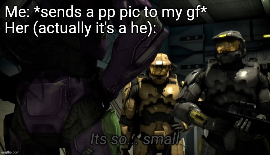 Its so... small | Me: *sends a pp pic to my gf*
Her (actually it's a he): | image tagged in its so small | made w/ Imgflip meme maker