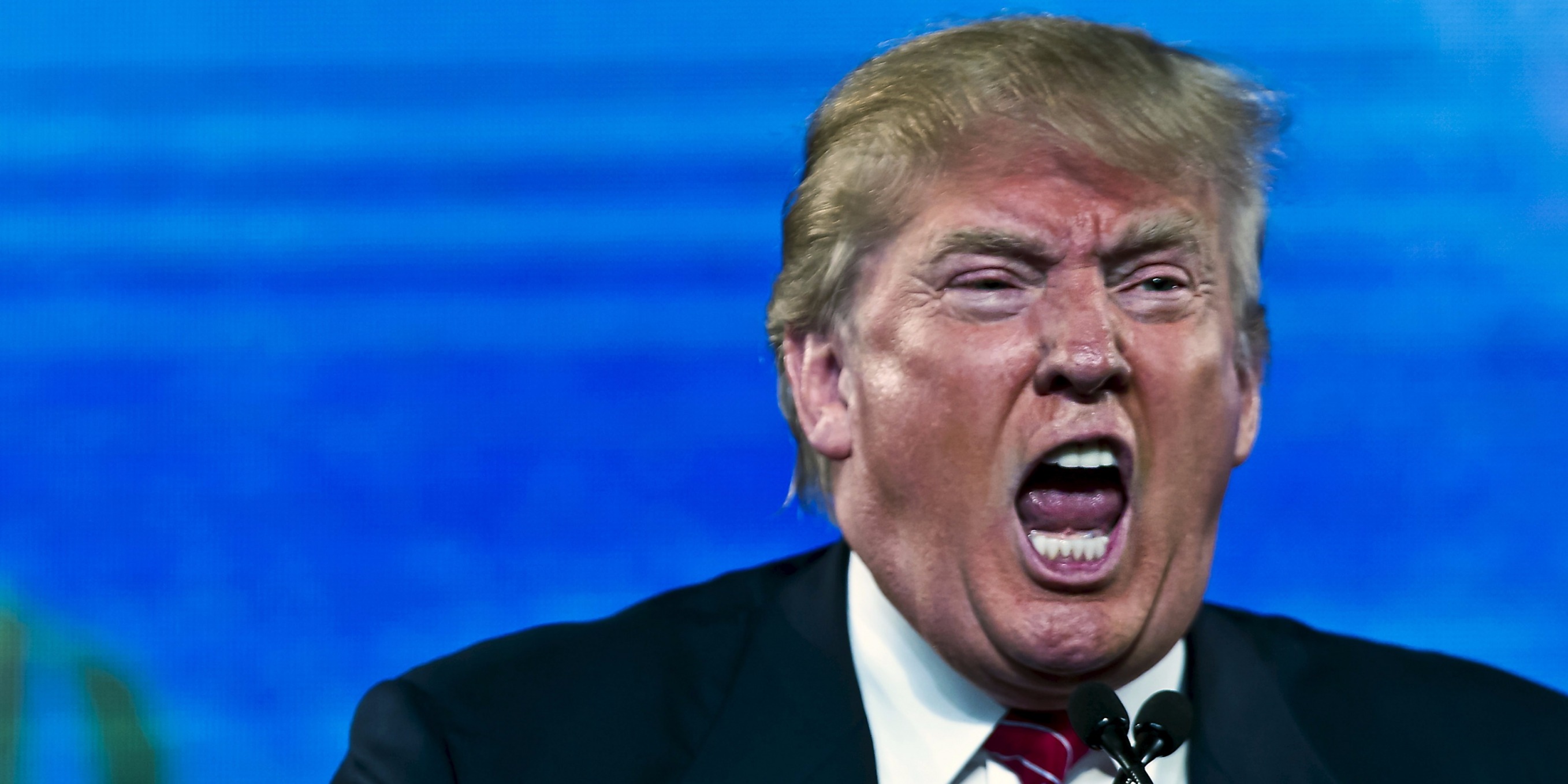 Trump angry scream toddler infant tantrum Blank Meme Template