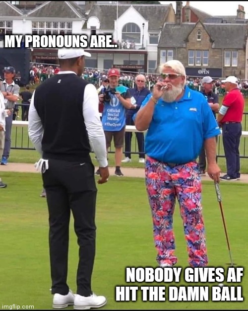 Golf | MY PRONOUNS ARE.. NOBODY GIVES AF
HIT THE DAMN BALL | image tagged in john daly and tiger woods | made w/ Imgflip meme maker