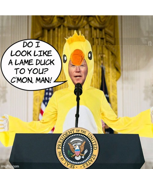 Lame Duck Biden |  DO I LOOK LIKE A LAME DUCK TO YOU? C'MON MAN! | image tagged in lame,duck,creepy joe biden | made w/ Imgflip meme maker