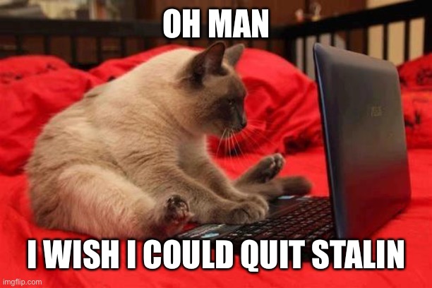 quit looking at cats online | OH MAN I WISH I COULD QUIT STALIN | image tagged in quit looking at cats online | made w/ Imgflip meme maker