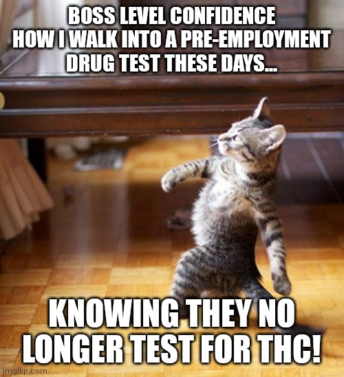 Cat Walking Like A Boss |  BOSS LEVEL CONFIDENCE HOW I WALK INTO A PRE-EMPLOYMENT DRUG TEST THESE DAYS... KNOWING THEY NO LONGER TEST FOR THC! | image tagged in cat walking like a boss | made w/ Imgflip meme maker