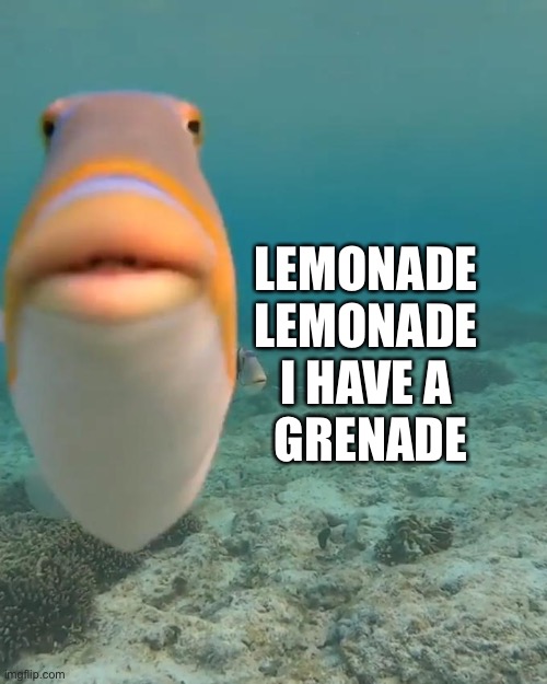 staring fish | LEMONADE 
LEMONADE 
I HAVE A 
GRENADE | image tagged in staring fish | made w/ Imgflip meme maker