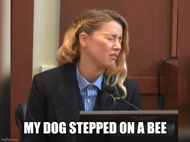 Amber Heard Dog Stepped on a Bee | MY DOG STEPPED ON A BEE | image tagged in amber heard dog stepped on a bee | made w/ Imgflip meme maker