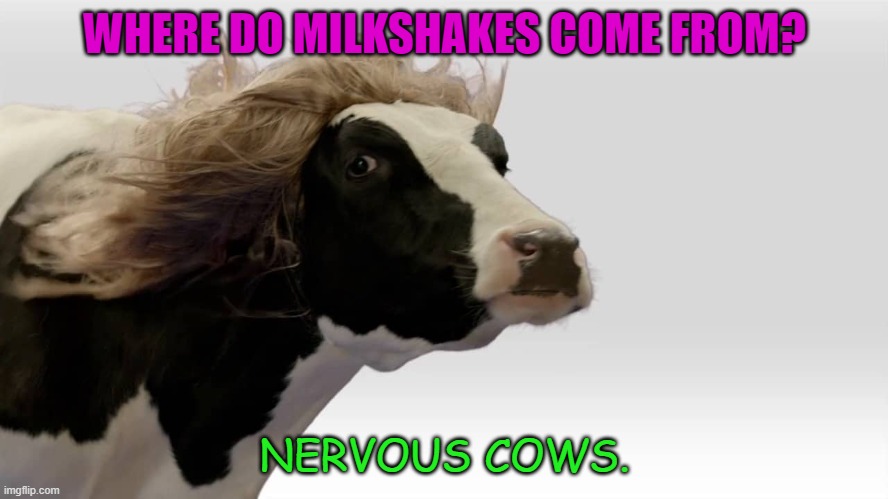 Daily Bad Dad Joke 08/09/2022 | WHERE DO MILKSHAKES COME FROM? NERVOUS COWS. | image tagged in fabio cow | made w/ Imgflip meme maker
