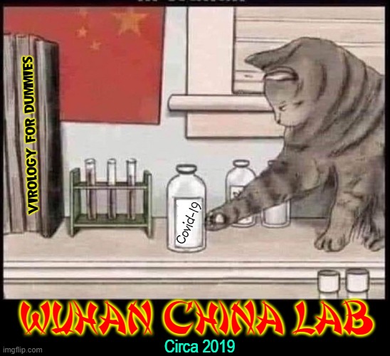 What Really Happened at that Laboratory... |  VIROLOGY FOR DUMMIES; Covid-19; WUHAN CHINA LAB; Circa 2019 | image tagged in vince vance,wuhan,memems,cats,covid 19,chinese | made w/ Imgflip meme maker