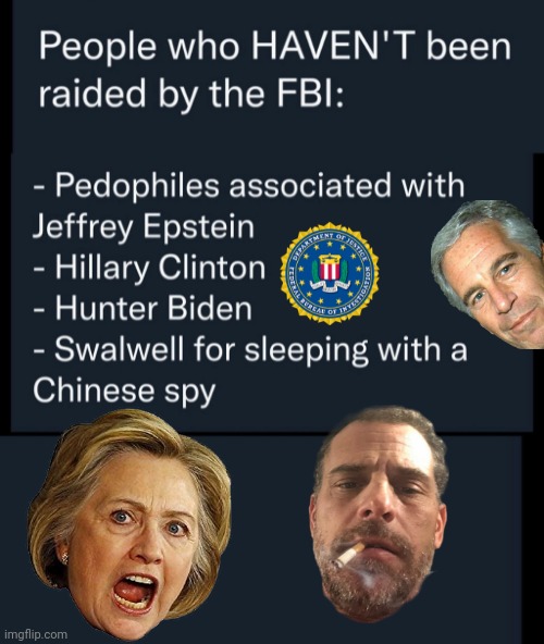 Why not raid Hillary and Hunter FBI? | image tagged in fbi | made w/ Imgflip meme maker
