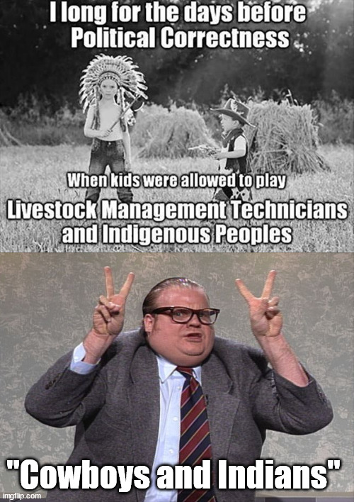 "Cowboys and Indians" | image tagged in politically correct,politics | made w/ Imgflip meme maker